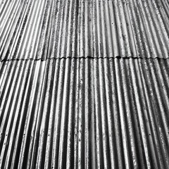 Corrugated metal roof in close-up view with detailed texture, black and white photo.
