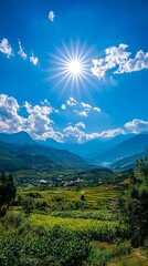 Naklejka premium A view of the sun shining brightly over a green field