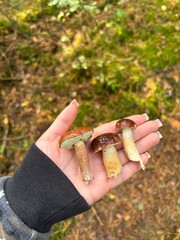 hands of the child