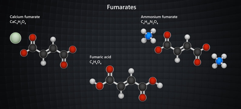 Fumarates are esters or salts of fumaric acid. They play a crucial role contributing to cellular respiration. They are used in food preservation and as dietary supplements. 3D illustration. Dark back