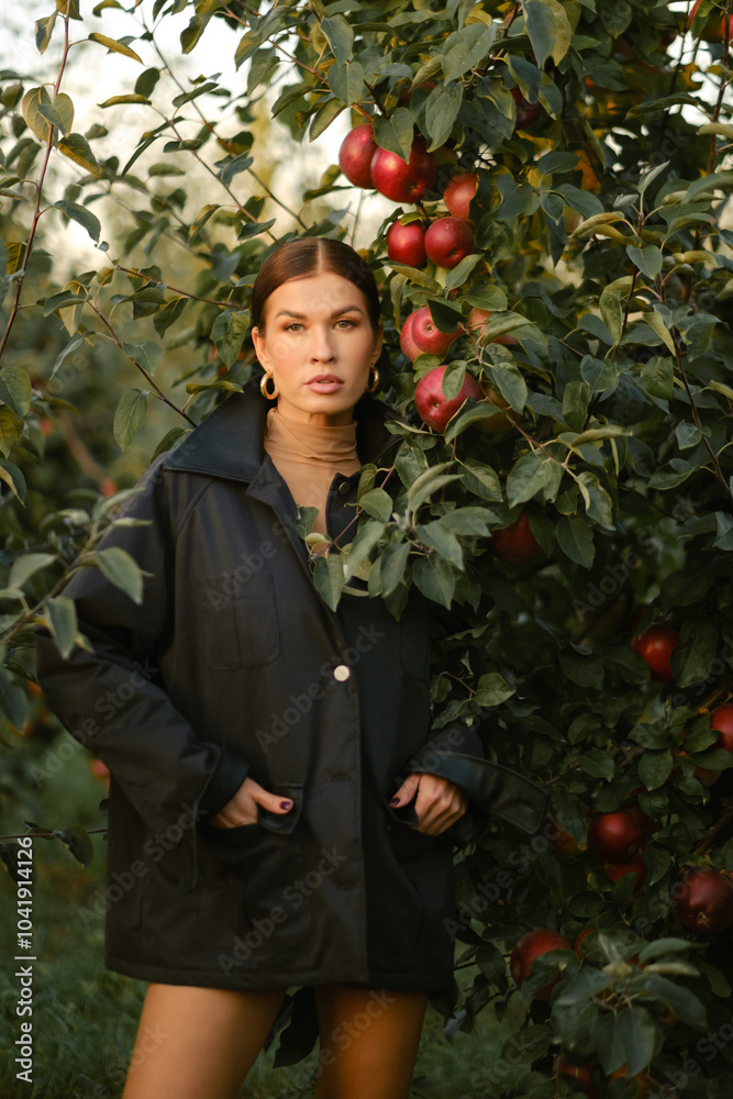 Wall mural a beautiful girl in a black autumn jacket in an apple orchard. a fashionable girl at a fashion show 