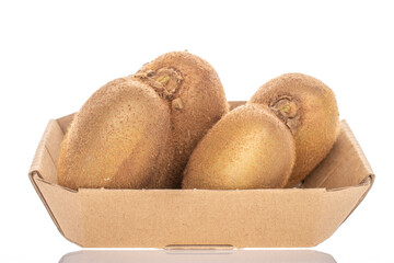 Several ripe juicy kiwis in a paper plate, macro, isolated on white background.