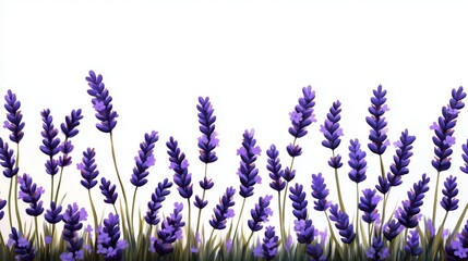 Naklejka premium Realistic Oil Painting of Lavender Blossoms