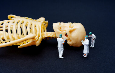 Surgeons Examining Human Skeleton Model on Black Background