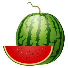 Watermelon on a white background. Vector illustration of a watermelon.