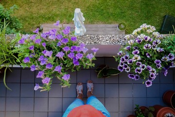 Der Balkon im Sommer mit Blumen