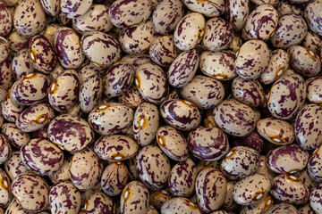 Borlotti beans in close up