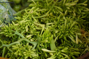  Papaya flowers are yellowish green in color with a bud shape