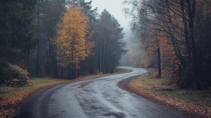 Obraz premium An empty paved road, a dramatic photo