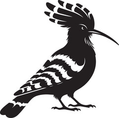 Beautiful hoopoe bird Silhouette vector illustration isolated on a white background