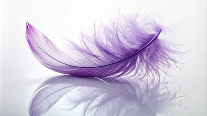 Obraz premium Graceful Purple Feather on White Canvas Background