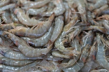 Closeup of a bunch of Fresh shrimps sold at the fish market