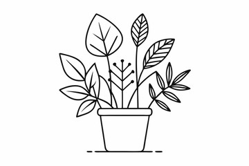 Minimalist Plant Illustration with Simple Line Art