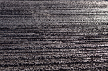 the texture of cut gray asphalt on the road on a sunny day