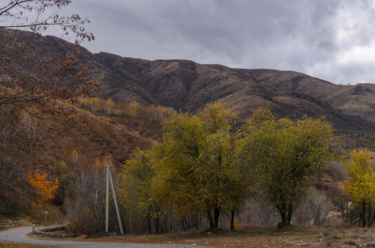 an asphalt road in the mountains with autumn trees against a dark cloudy sky