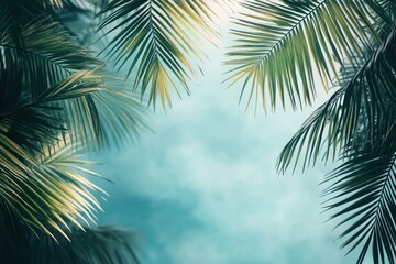 Tropical Palm Leaves with Soft Blue Background
