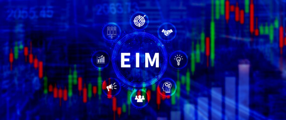 EIM Enterprise information management system, EIM Global Network with Analyzing Technological Data, Efficient Information Management, Network Connection.