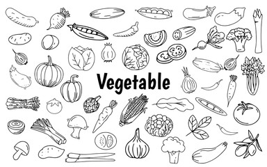 vegetable line art hand drawn doodle
