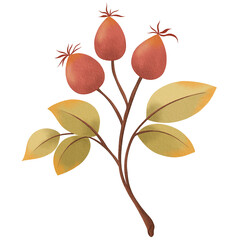 Watercolor Autumn Harvest Clipart Collection – Hand-Painted Pumpkins, Fall Leaves, Cozy Cottage