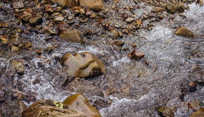 Mountain river in the autumn forest.