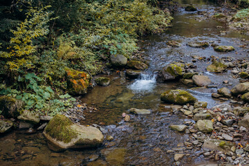 Mountain river in the autumn forest.
