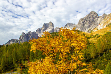 Die Bischofsmütze im Herbstkleid