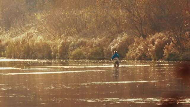 Autumn fly fishing. Amateur fisherman fishing on the river and catches the fish. Angler casts the fly, strikes and catches the fish