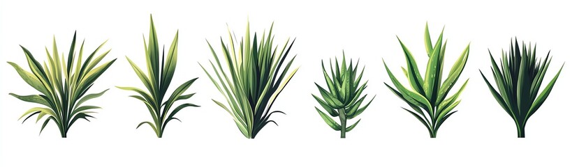 Various types of green plants on a white isolated background.