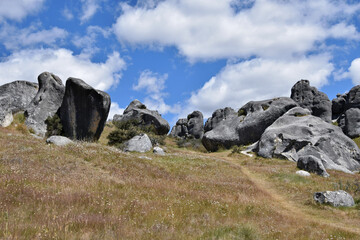 Kura Tawhiti Conservation Area with Path and Grass © Bernhard