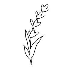 Lavender Icon. Boho Outline Vector Illustration Style.