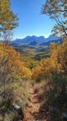 Fototapeta premium Autumn Path Through Forest Landscape Photo