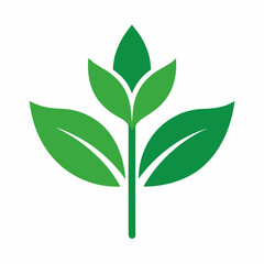 Green Leaf Icon – Simple Nature Vector Design for Eco-Friendly Projects. Green leaf ecology nature element vector icon