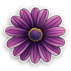 Obraz premium A vibrant purple daisy in full bloom, showcasing intricate petals and a striking purple center.