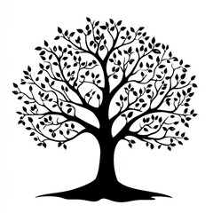 Obraz premium A striking silhouette of a tree with sprawling branches and delicate leaves, symbolizing growth and nature's beauty.