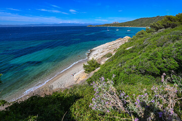 Porquerolles island, la Courtade, mediterranean sea, France. High quality photo