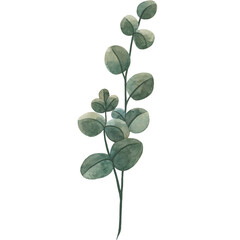 Obraz premium Watercolor Green Leaves and Flowers Clipart – Hand-Painted Botanical Florals and Foliage Elements for Wedding Invitations
