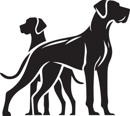 Great Dane dog white background.