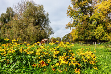 Autumn view at Bernrieder Park on Lake Starnberg, Bavaria, Upper Bavaria, Germany