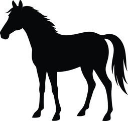 Set of horse silhouette isolated on white background Black horses graphic element vector illustration.