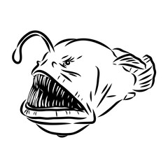 Angler fish, Lophiiformes, vector illustration. Drawing