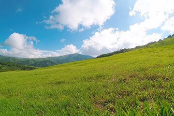 Fototapeta premium Lush green meadow under a bright blue sky with fluffy clouds and distant mountains
