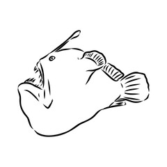 Angler fish, Lophiiformes, vector illustration. Drawing