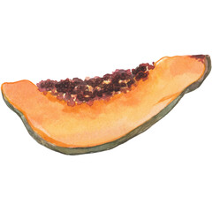 Watercolor Fruit Clipart Collection – Hand-Painted Tropical and Fresh Fruits Including Berries
