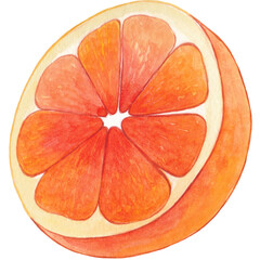 Watercolor Fruit Clipart Collection – Hand-Painted Tropical and Fresh Fruits Including Berries