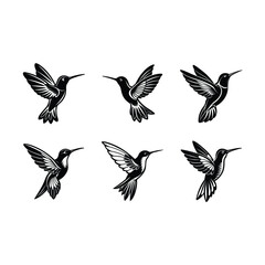 Obraz premium Hummingbird vector on white background, Instant Digital Download. Illustration for prints on t-shirt and bags, posters 