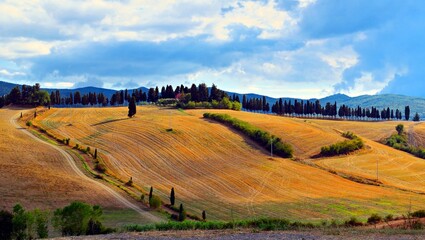 Obraz premium Tuscan landscape near the town of Lajatico, in the province of Pisa, Italy