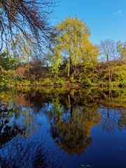 Trees reflected in the calm waters of the River North Esk along the river walk near to the Town of Edzell in rural Aberdeenshire.