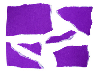 Several pieces of purple torn-edge sticky notes isolated on transparent background.