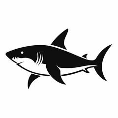 Fototapeta premium shark isolated on white