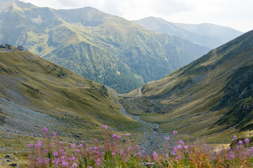 A breathtaking panoramic view of the Carpathian Mountains in Romania, featuring a stretch of the Transfăgărășan Highway winding through the valley. 